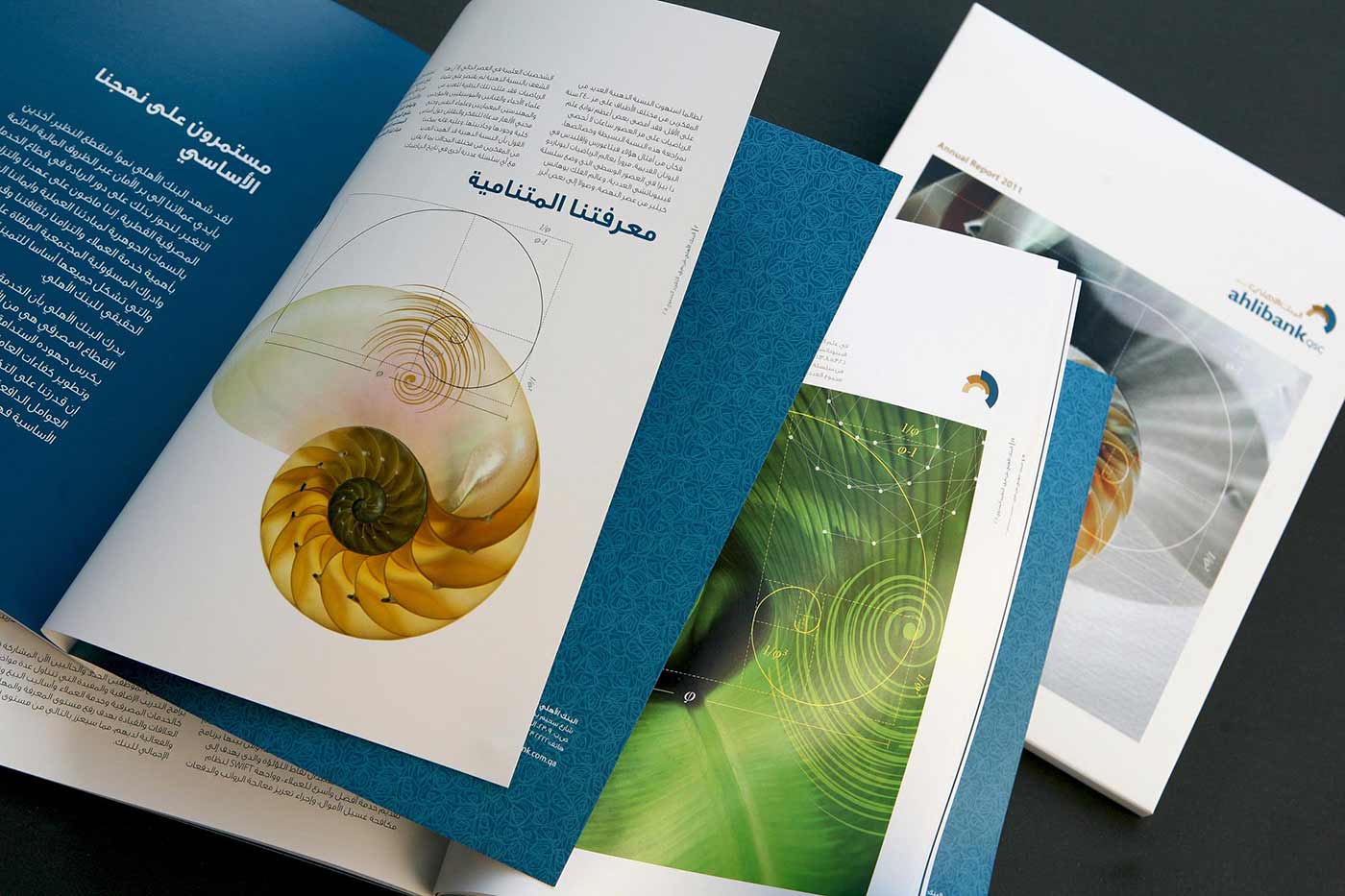 Annual Report Header