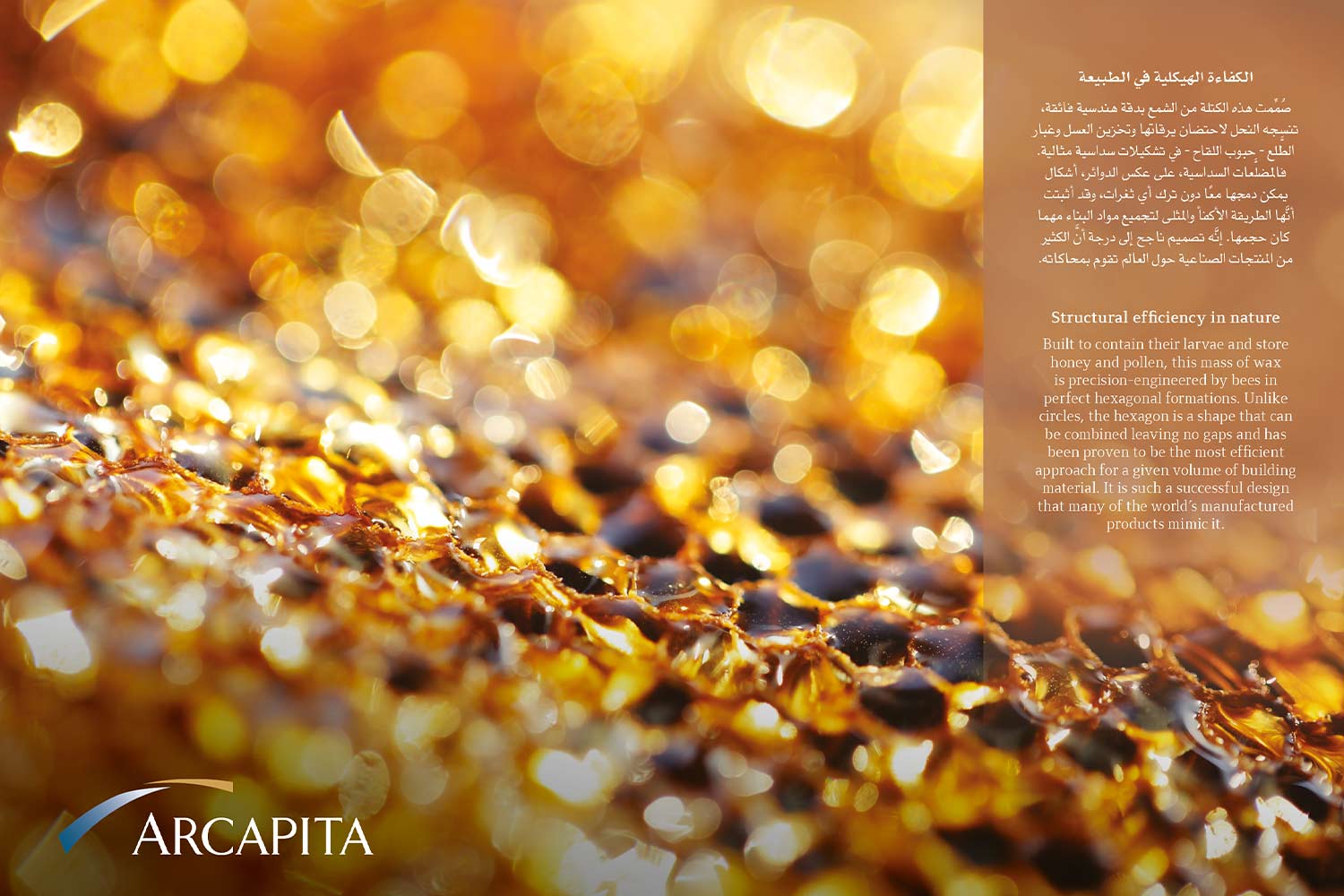 Arcapita 2021 Calendar Page - hexagons