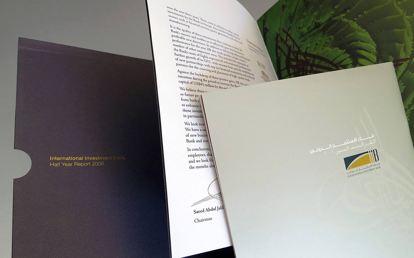 IIB Half Year Report 2006