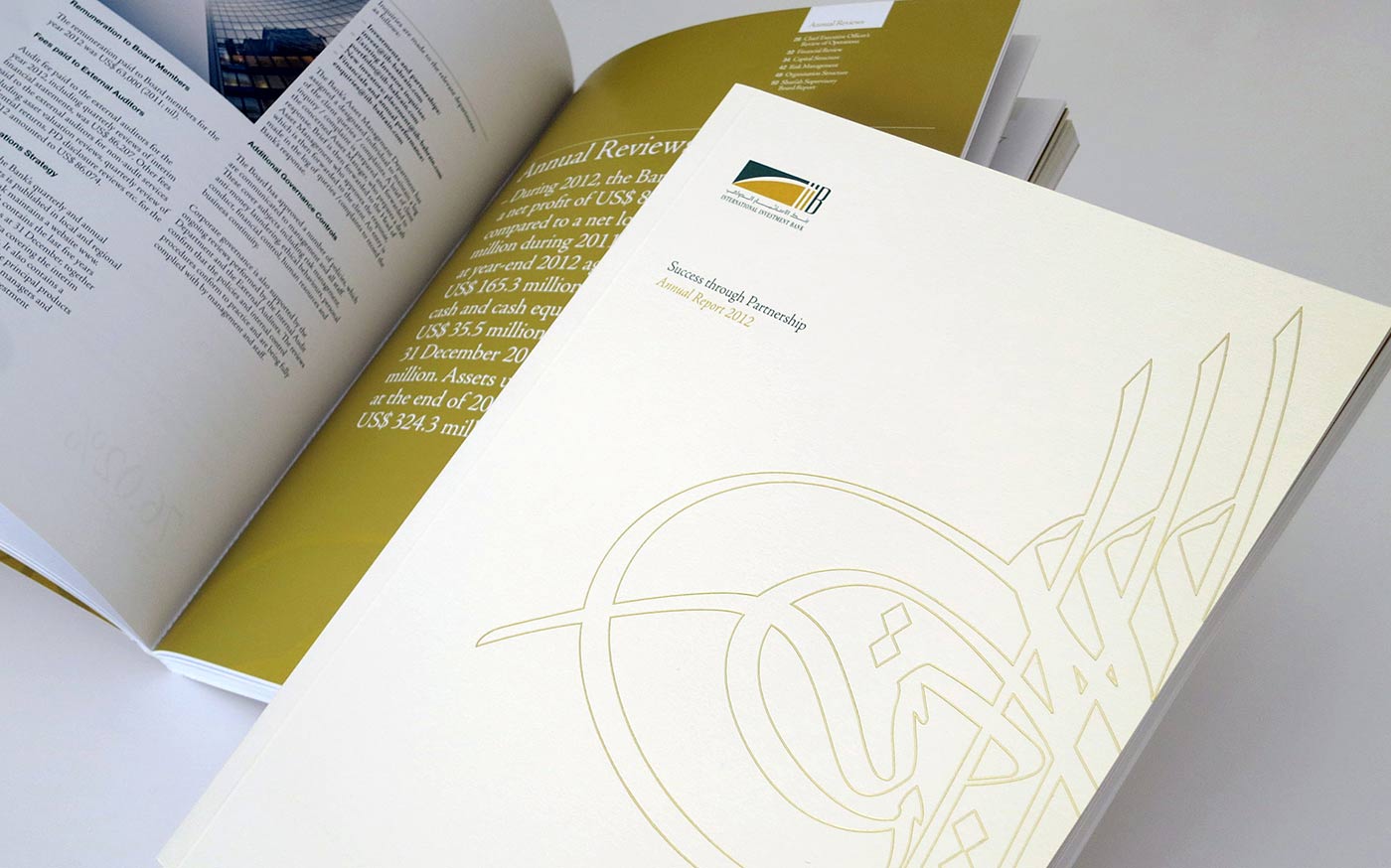 IIB 2012 Annual Report cover