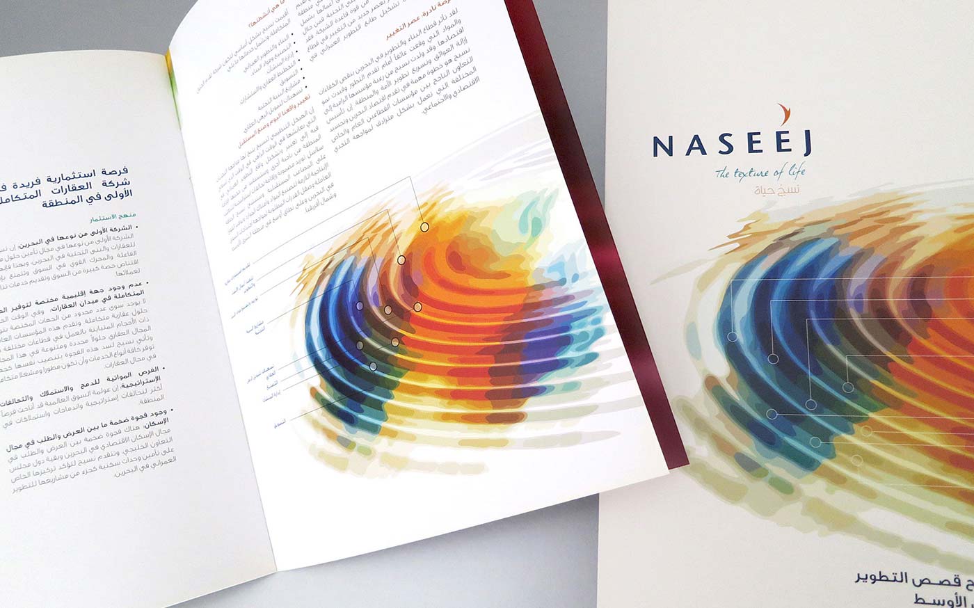 Naseej IPO Brochure 2