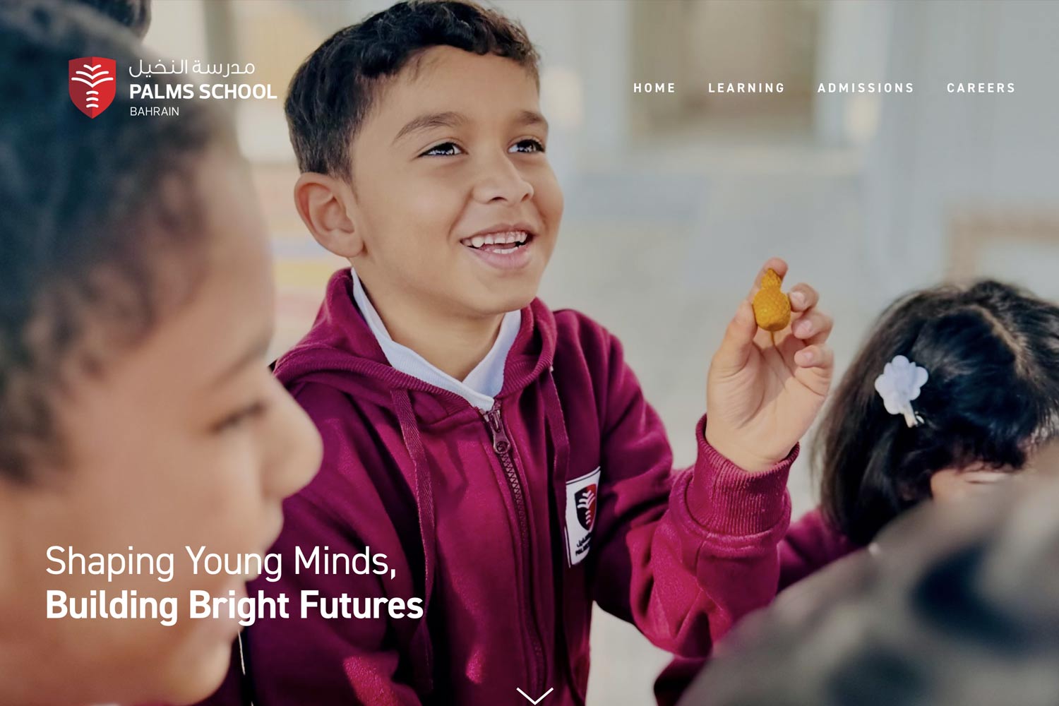 Palms home page