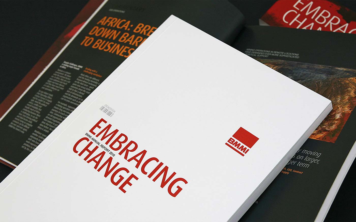 BMMI-annual-report-2010