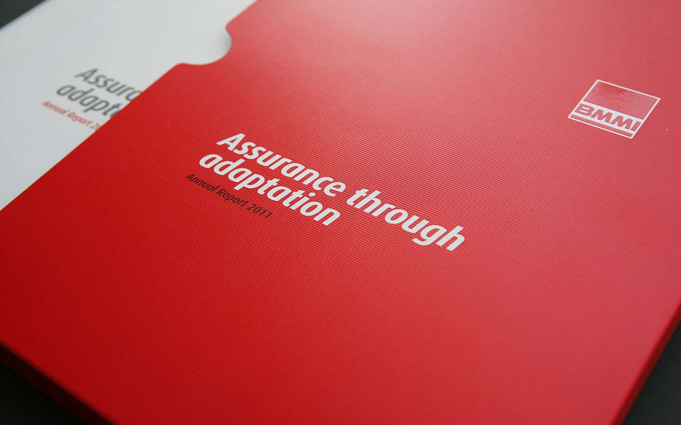 BMMI Annual Report Header