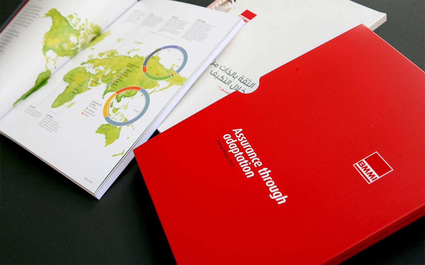 BMMI-annual-report-2011